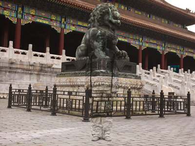 Bolin, Liu, Sleeping Lion of Hiding In The City, 2012